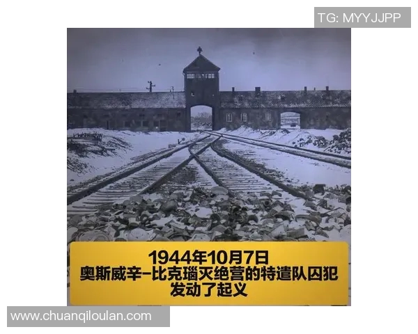 奥斯与阿基里斯的宿命对决揭示英雄背后的真实与悲剧