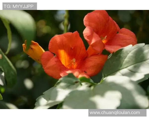 青岛国信水产因疫情停工备受影响，预计损失数百万